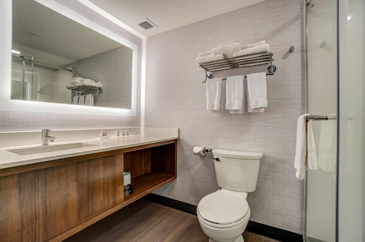 One-Bedroom Suite with Sofa Bed