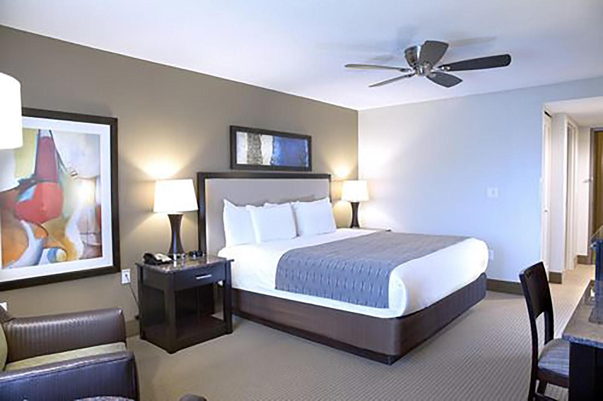 Standard King Room,1219263565:JPEG