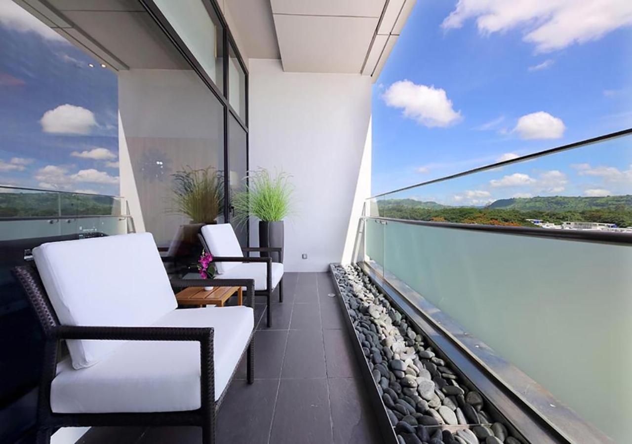 Midori Suite