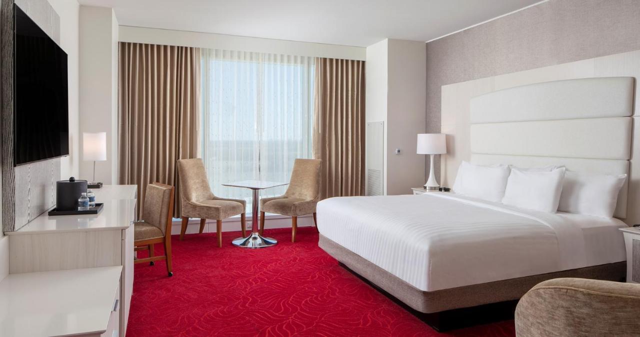 King Room - Disability Access,1323646999:JPEG