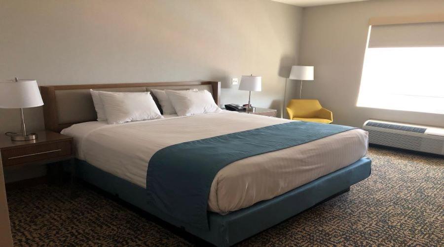 Habitación con cama extragrande y vistas al lago