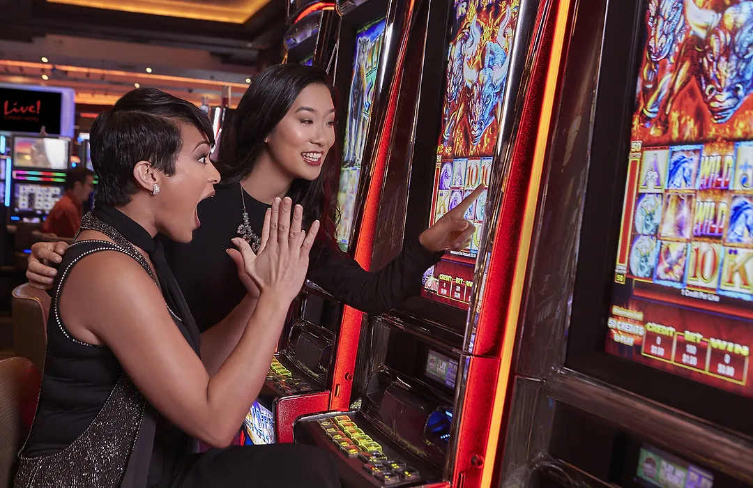 Live! Casino & Hotel - Baltimore Washington Airport - BWI-1