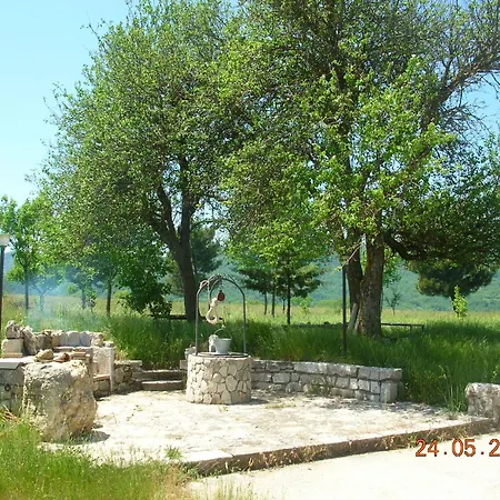 Casino Tonti Iarussi-2