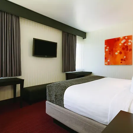 Harrah'S Ak-Chin - A Caesars Rewards Destination-2