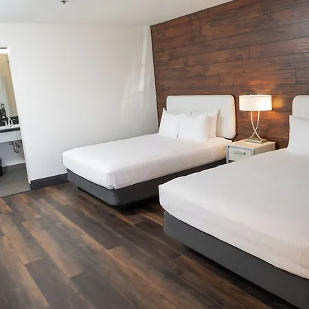 Carson Valley Motor Lodge And Suites-2