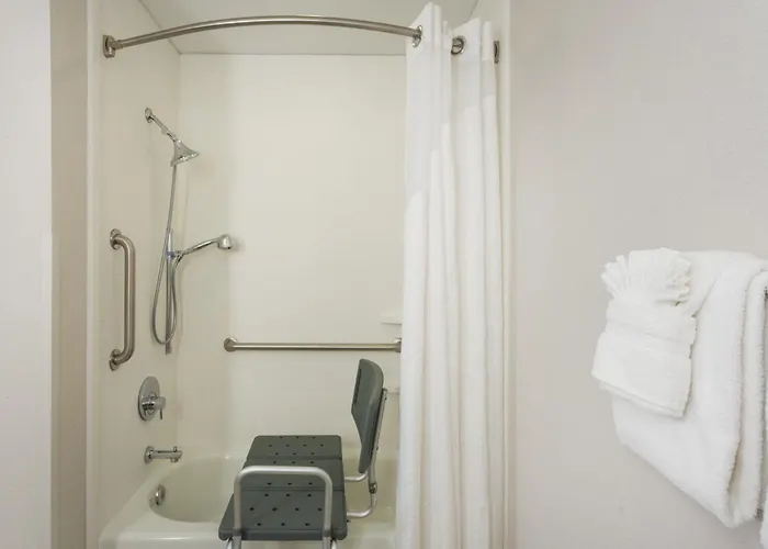 Holiday Inn Express Hotel & Suites Tampa-Fairgrounds-Casino By Ihg Mango
